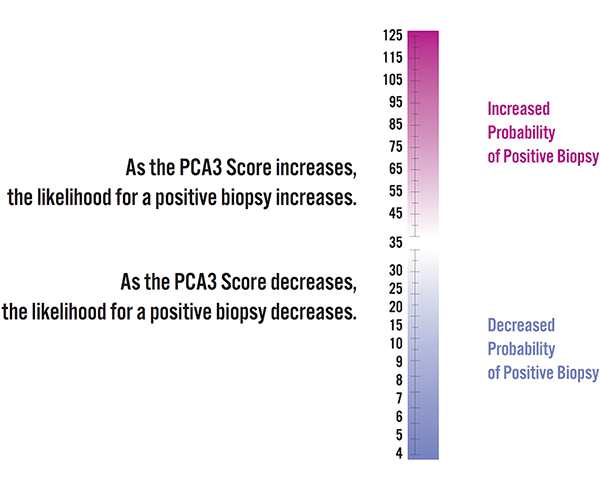 Prostate Screening Prostate cancer screening